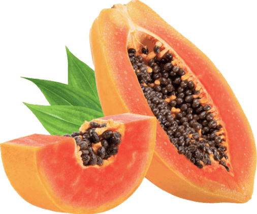 Synadentix Ingredients 4