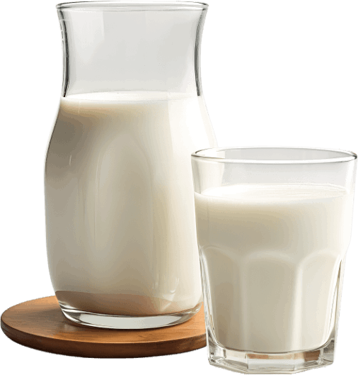 Synadentix Ingredients 6