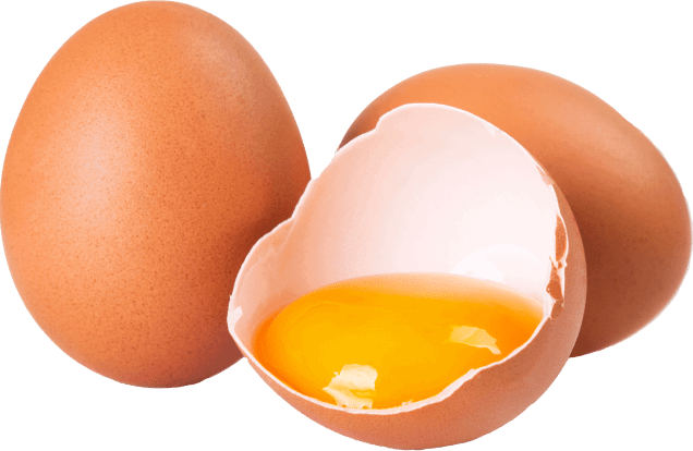 Synadentix ingredients 9